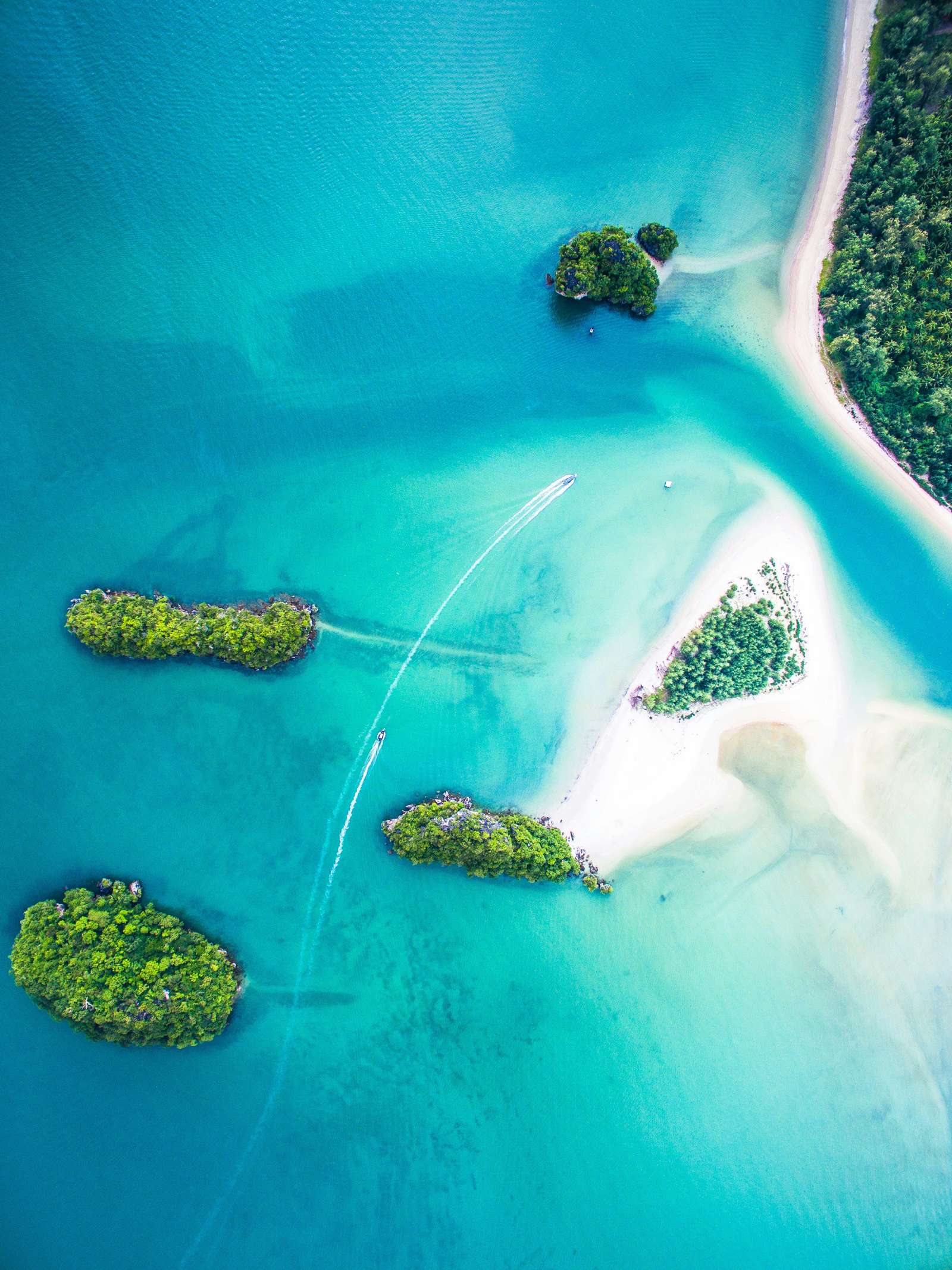 Caribbean