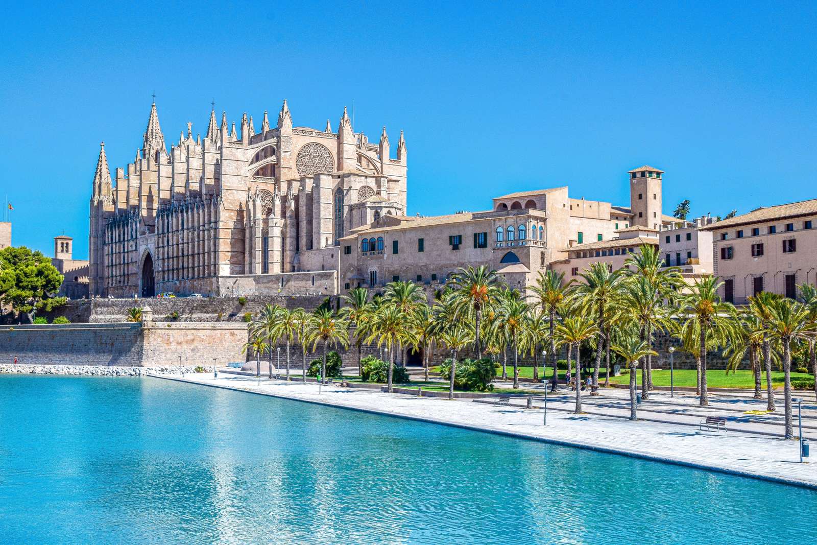 Palma