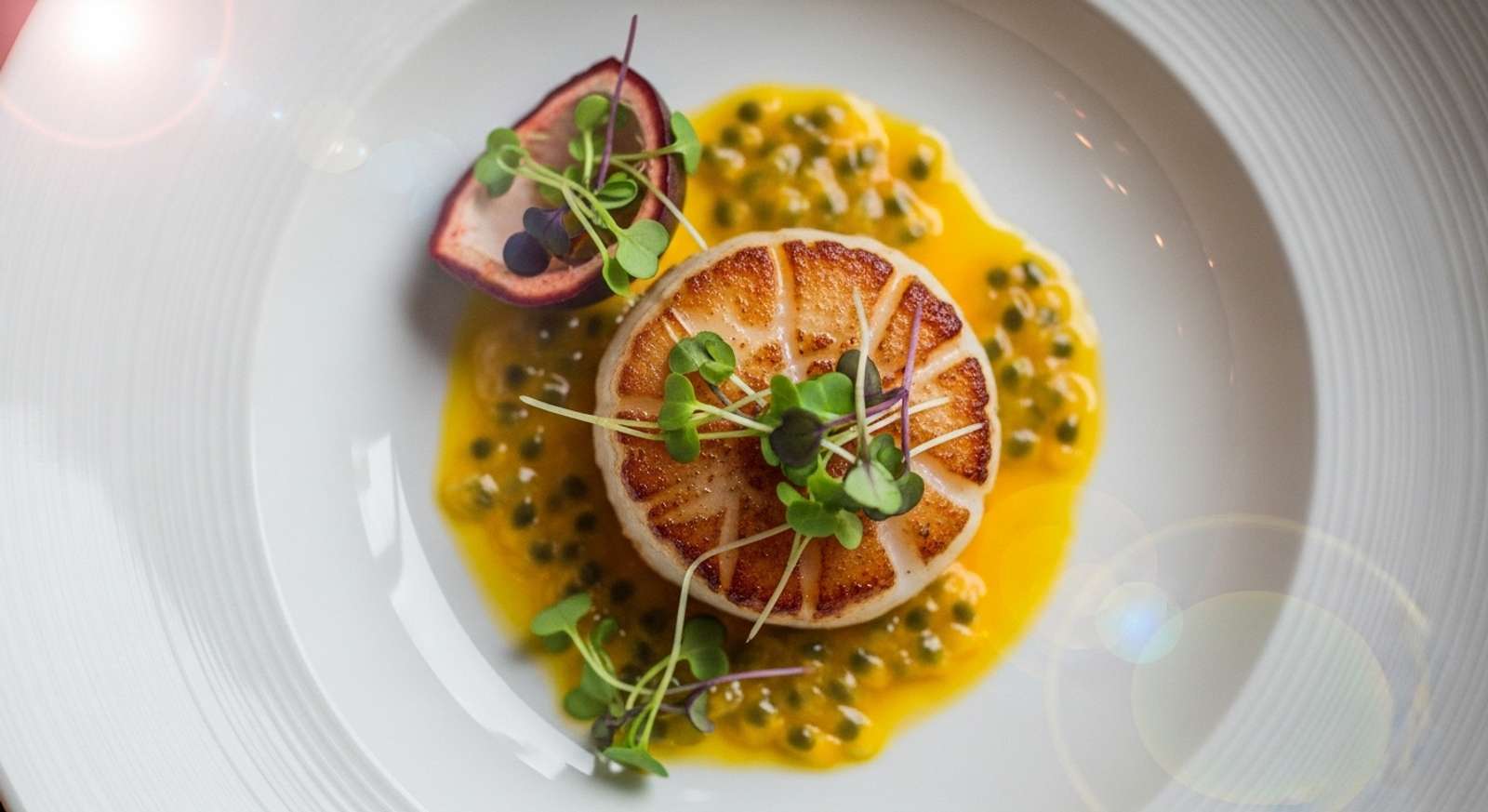 An overhead close-up shot of a gourmet seafood dish, featuring a beautifully seared scallop with a vibrant passionfruit sauce and microgreens on a white ceramic plate.