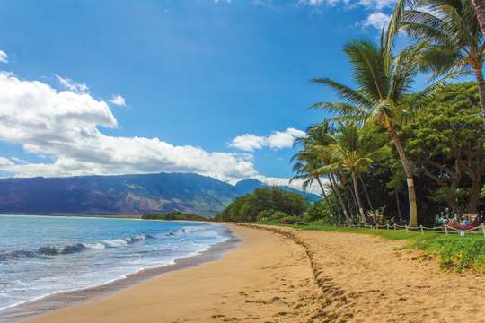 Walk To Beach