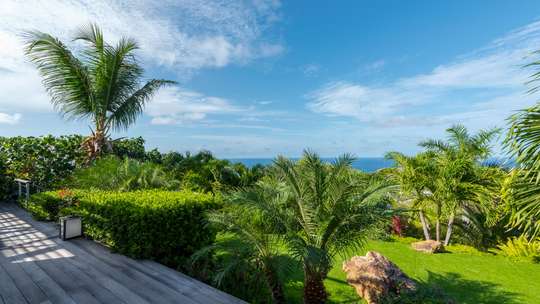 Landscaped Garden