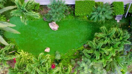 Tropical Gardens