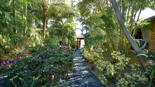Tropical Gardens