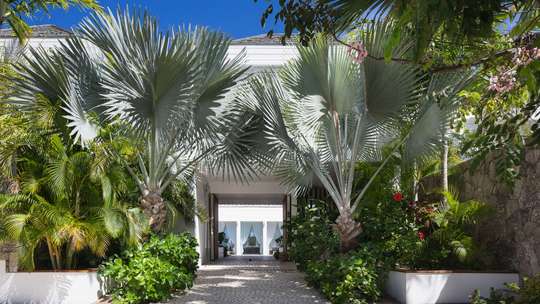 Tropical Gardens