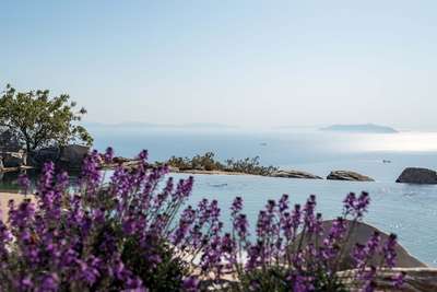 Infinity Pool