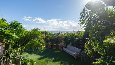 Tropical Gardens