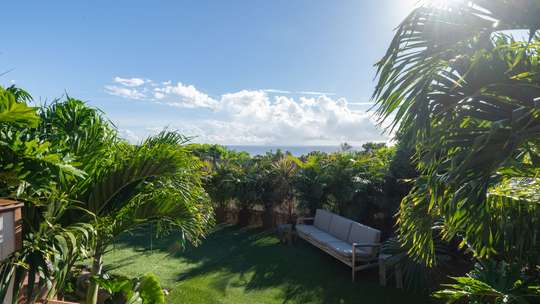 Tropical Gardens