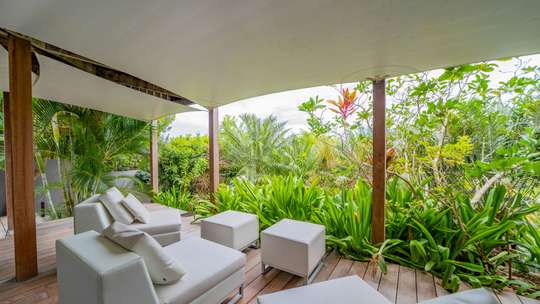 Tropical Gardens