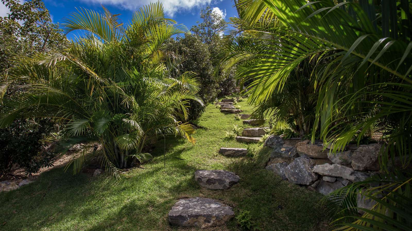 Property image 106