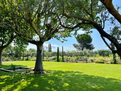 Tranquil Environment