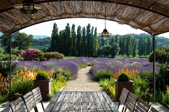 Alfresco Dining