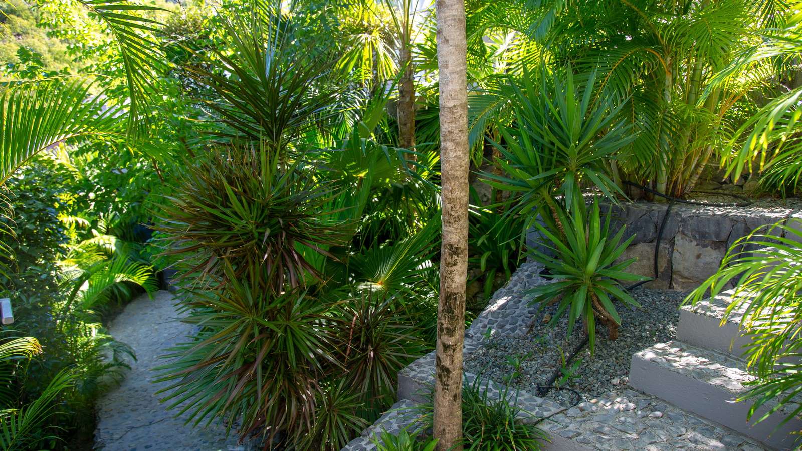 Property image 48