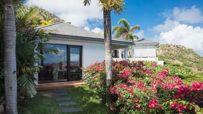 Tropical Gardens
