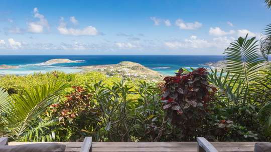 Ocean Views