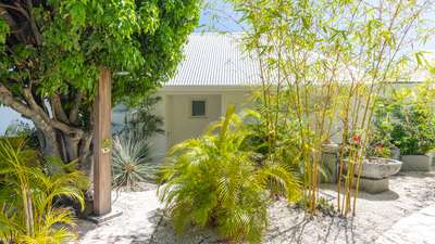 Tropical Gardens