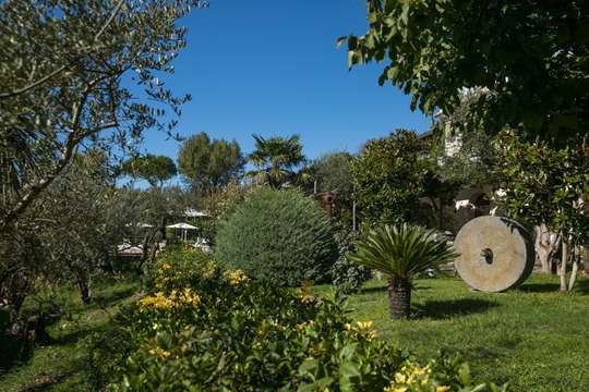Mediterranean Garden