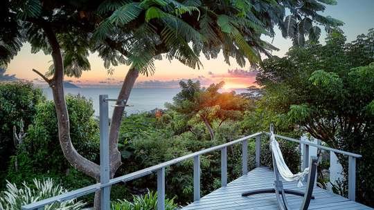 Tranquil Environment
