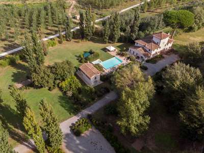 Tranquil Environment