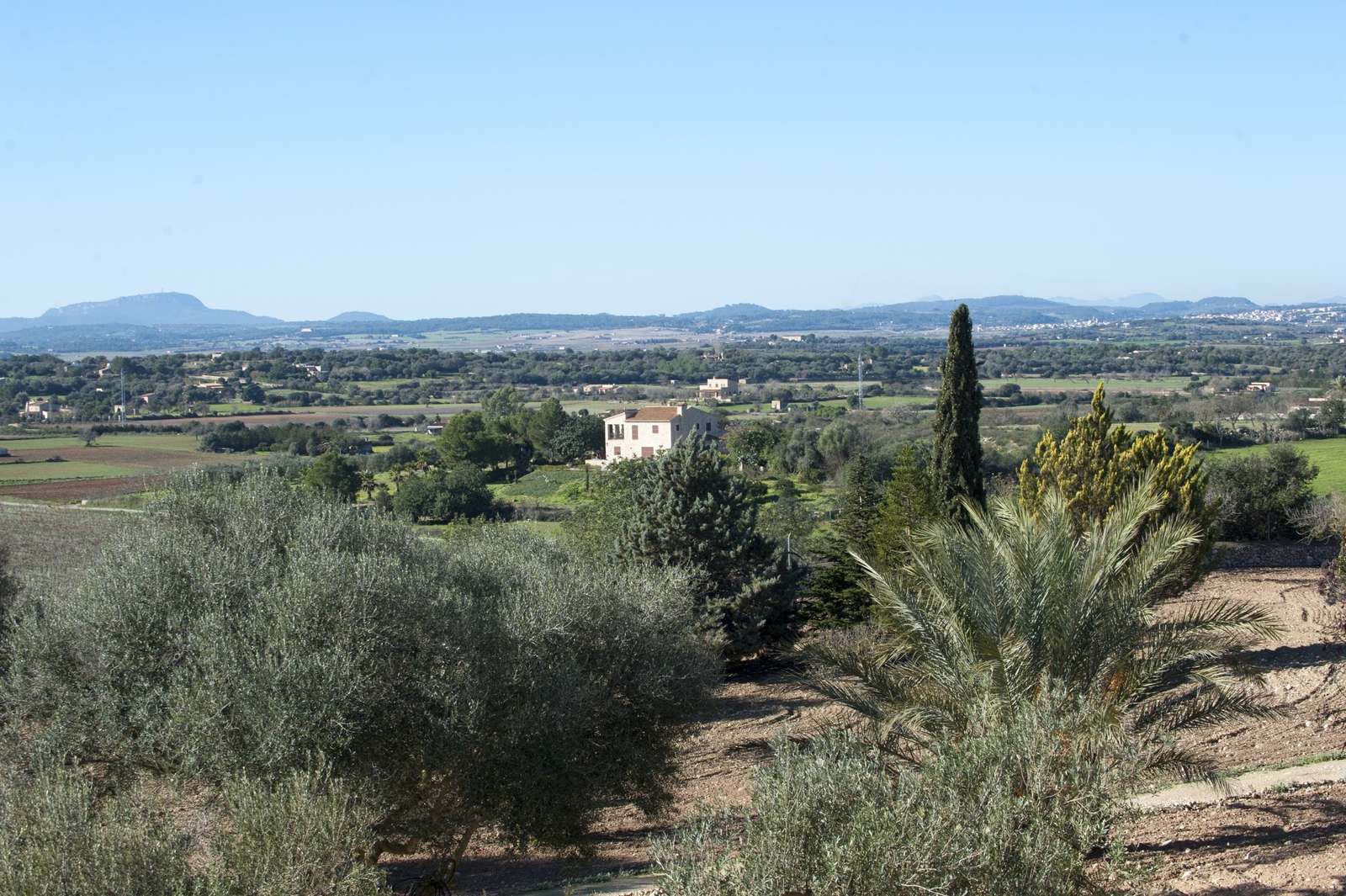 Property image 60