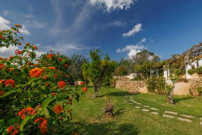 Fruit & Vegetable Garden