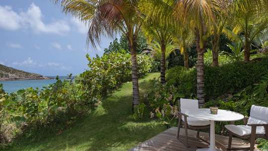 Tropical Gardens