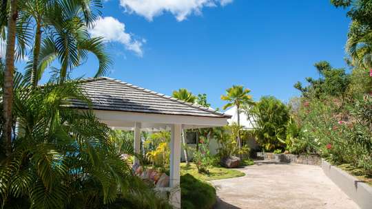 Tropical Gardens
