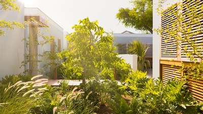 Tropical Gardens