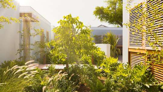 Tropical Gardens