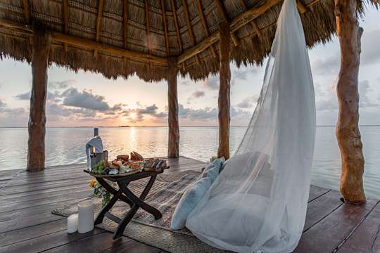 Alfresco Dining