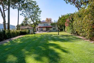 Large Garden