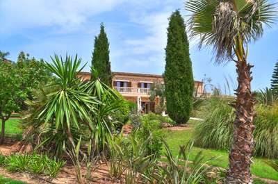 Tranquil Environment