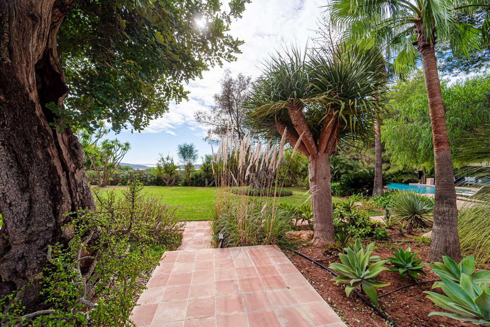 Property image 64