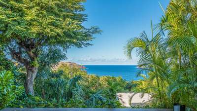 Tropical Gardens