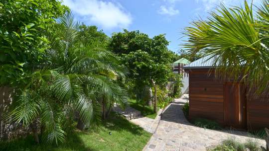 Tropical Gardens