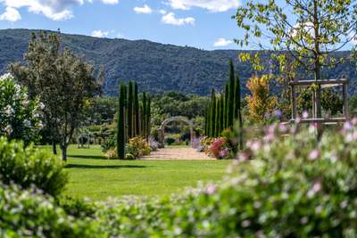 Tranquil Environment