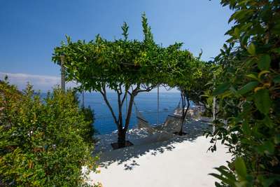 Mediterranean Garden