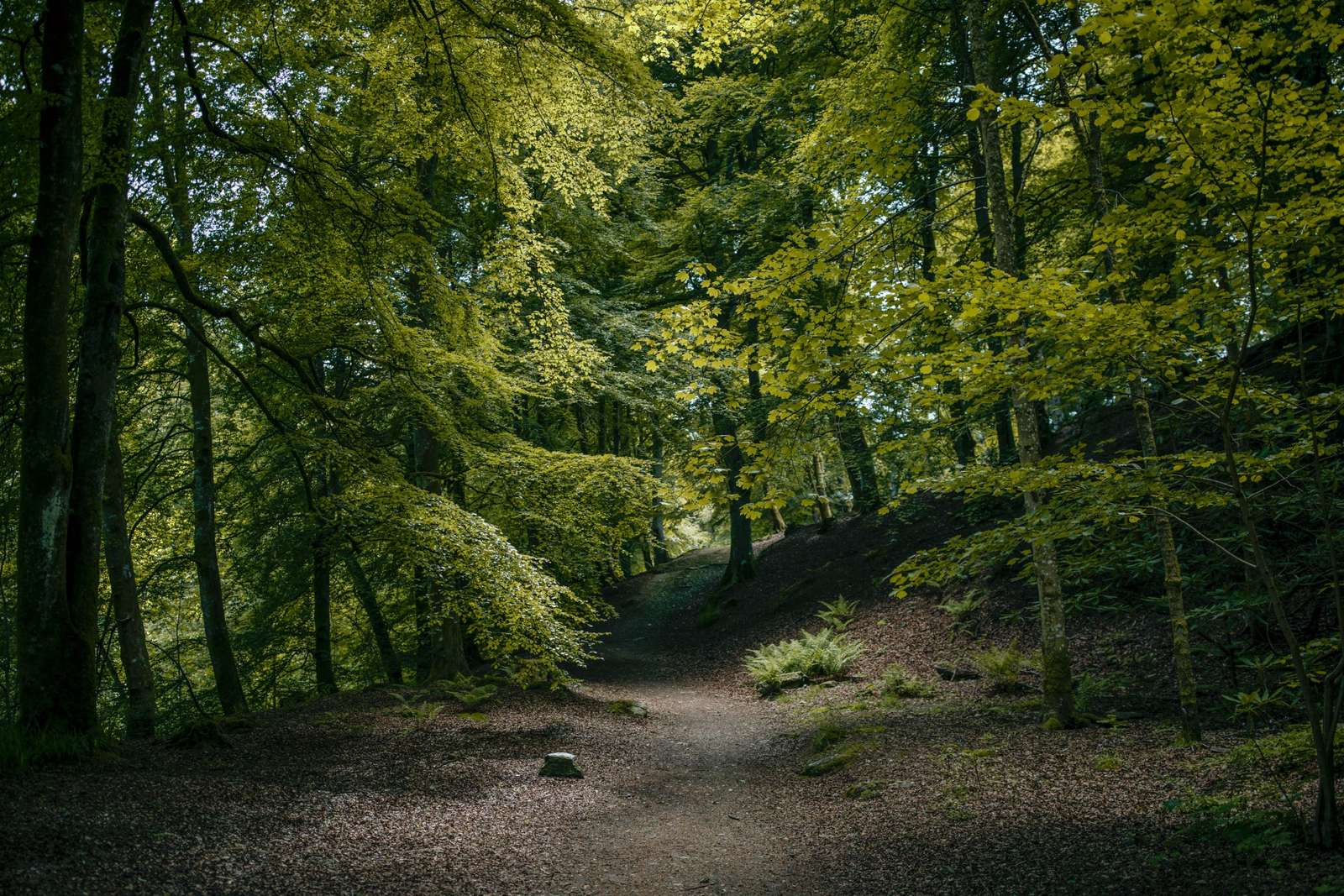 Property image 35