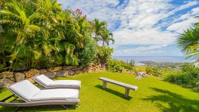 Tropical Gardens