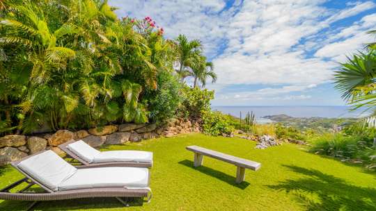 Tropical Gardens