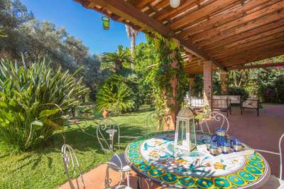 Tranquil Environment