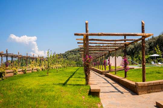 Mediterranean Garden