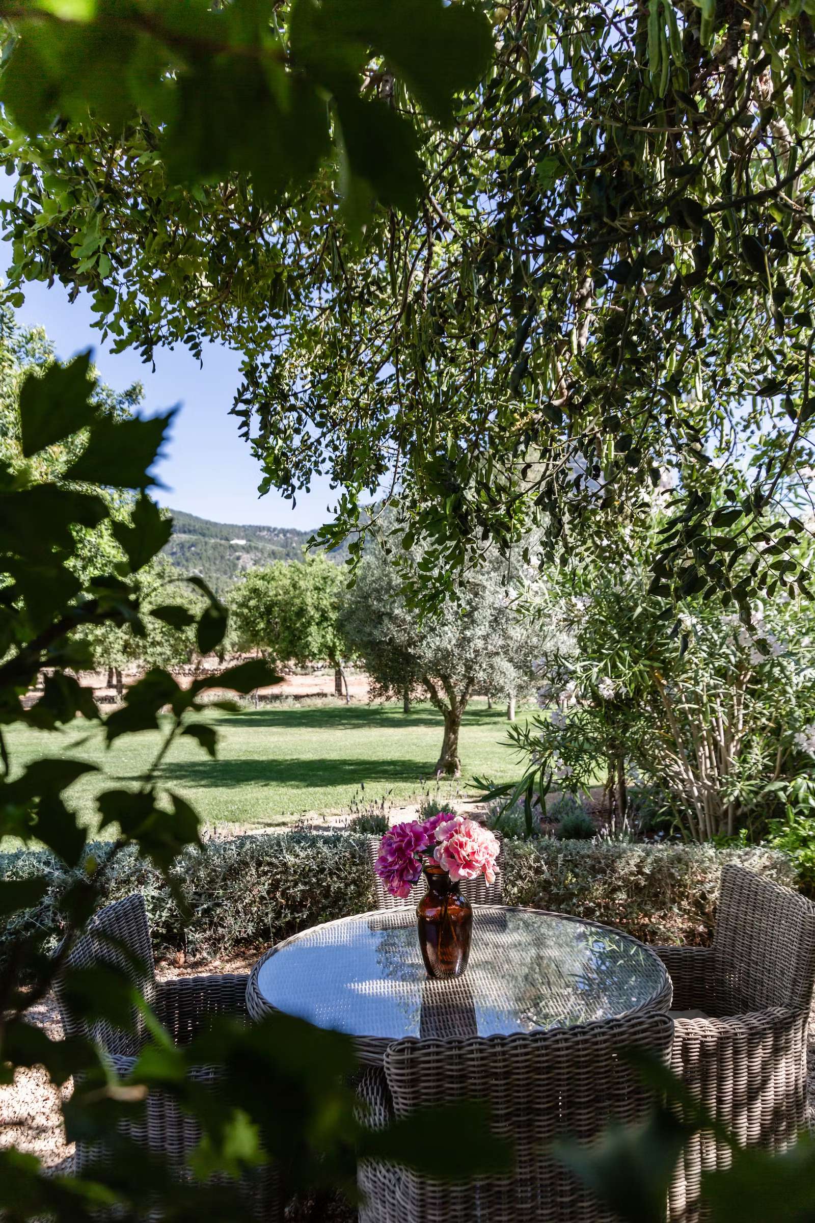 Property image 43