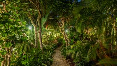 Tropical Gardens
