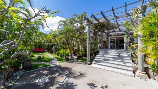 Tropical Gardens