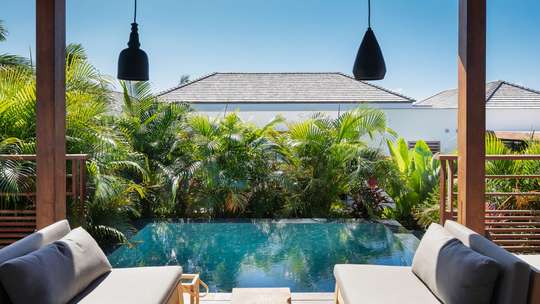 Tropical Gardens