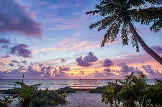Ocean Views