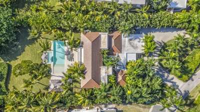 Tropical Gardens