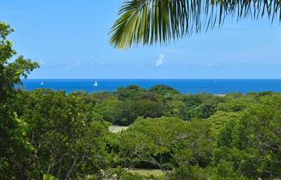 Sea Views