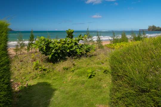 Ocean Views