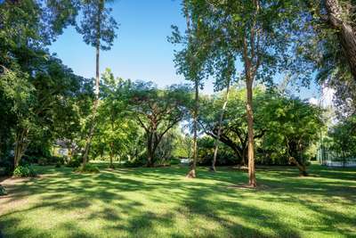 Large Garden